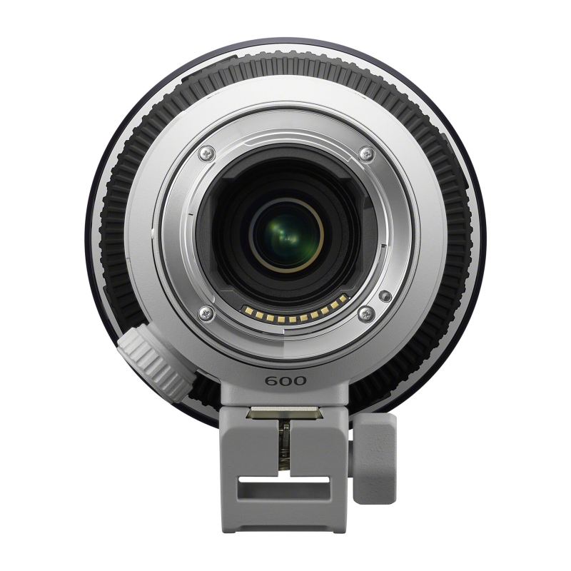 FE 600mm F6.3 GM OSS