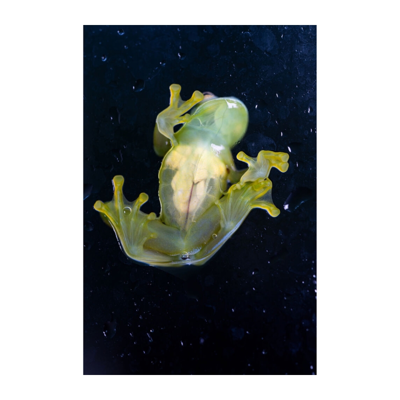 90mm f/2.8 DI III Macro VXD Nikon Z