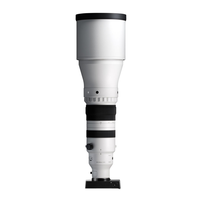 300-600mm f/4.0 DG OS Sports L-Mount