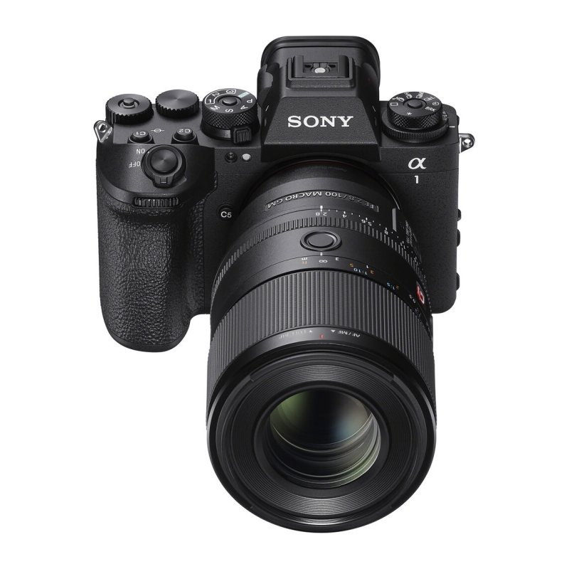 SEL FE 100mm F2.8 Macro GM OSS Lens
