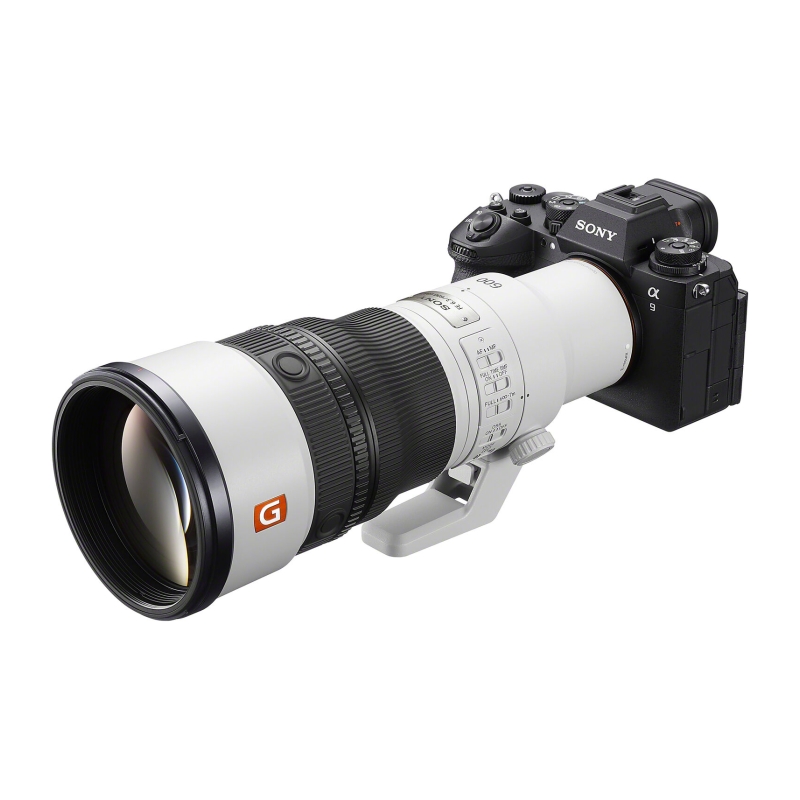 FE 600mm F6.3 GM OSS