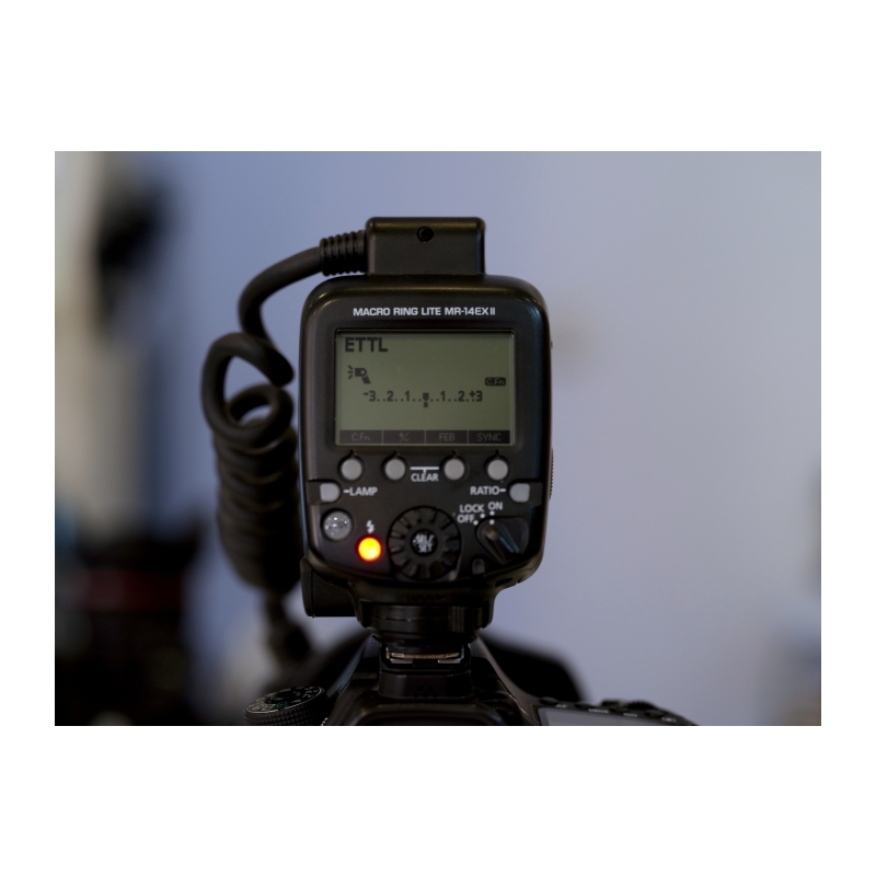 MR-14EX II Macro Ringlite Flash OCCASION
