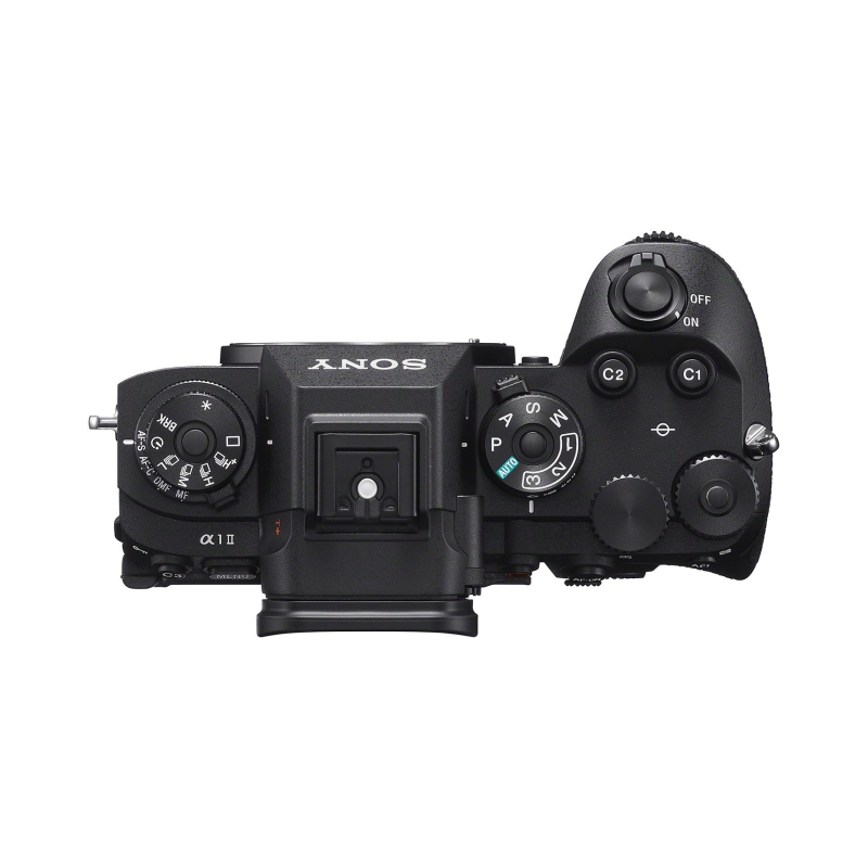 A1 II Body