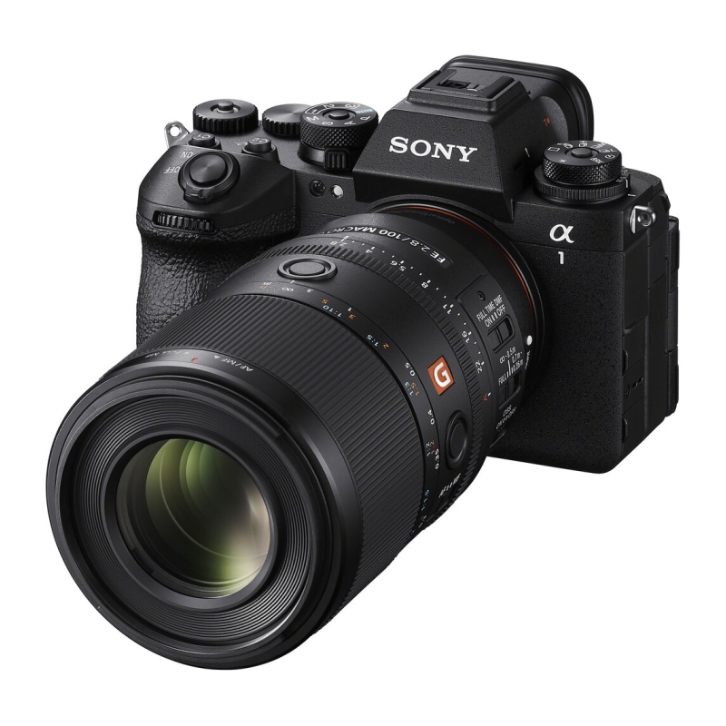 SEL FE 100mm F2.8 Macro GM OSS Lens