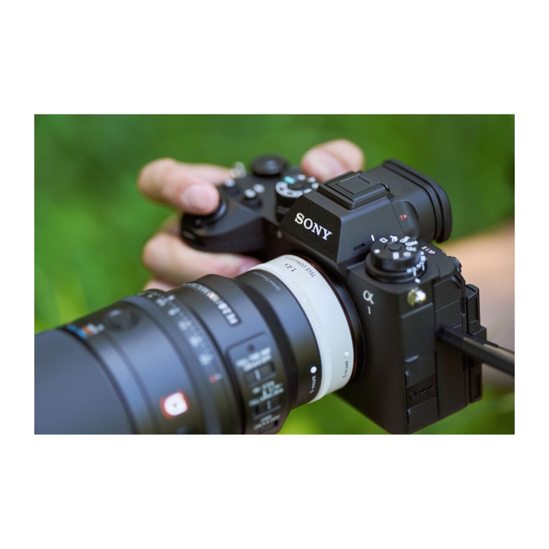 SEL FE 100mm F2.8 Macro GM OSS Lens