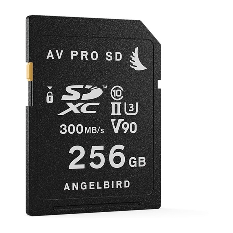 Match Pack For Panasonic EVA1 256GB | 2-pack