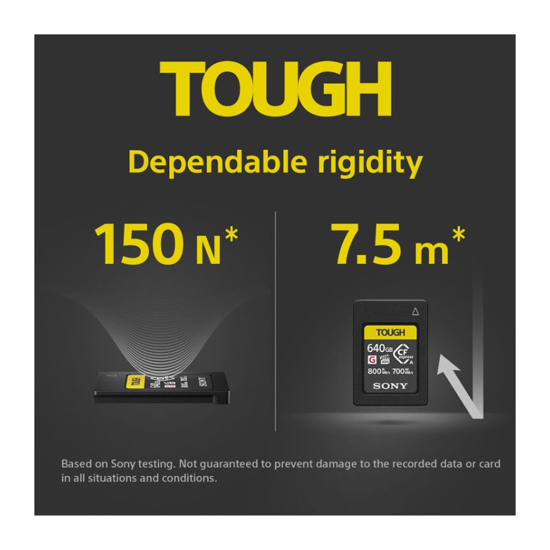 CFexpress Memory Card 240GB