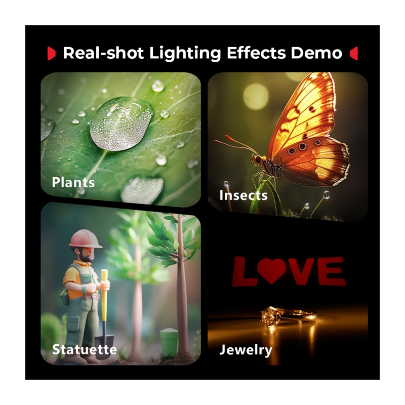 5480 RM 03 Macro Photography LED Light