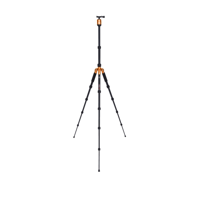 Compact Traveler No I Orange B STOCK