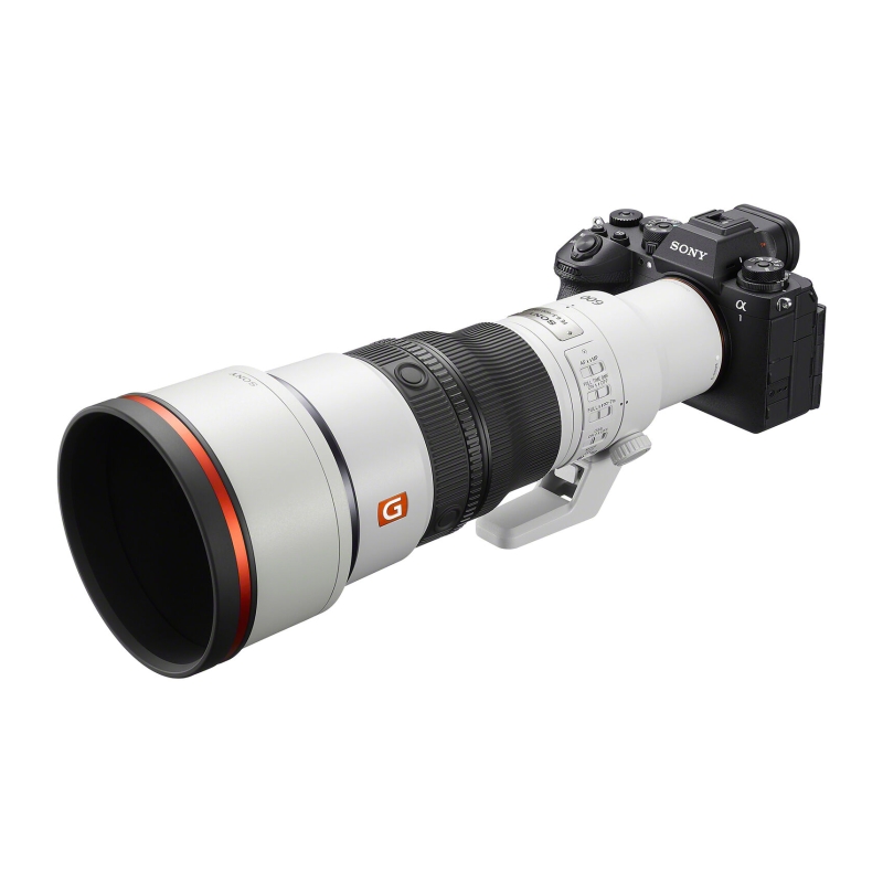 FE 600mm F6.3 GM OSS