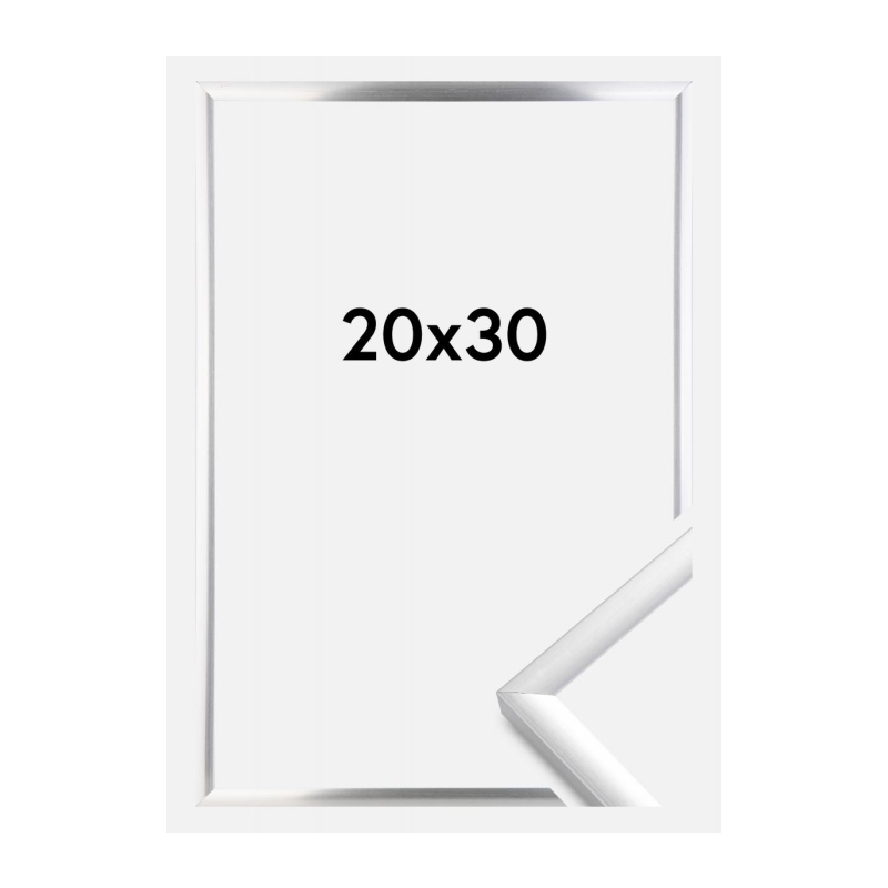 Alu lijst 20x30