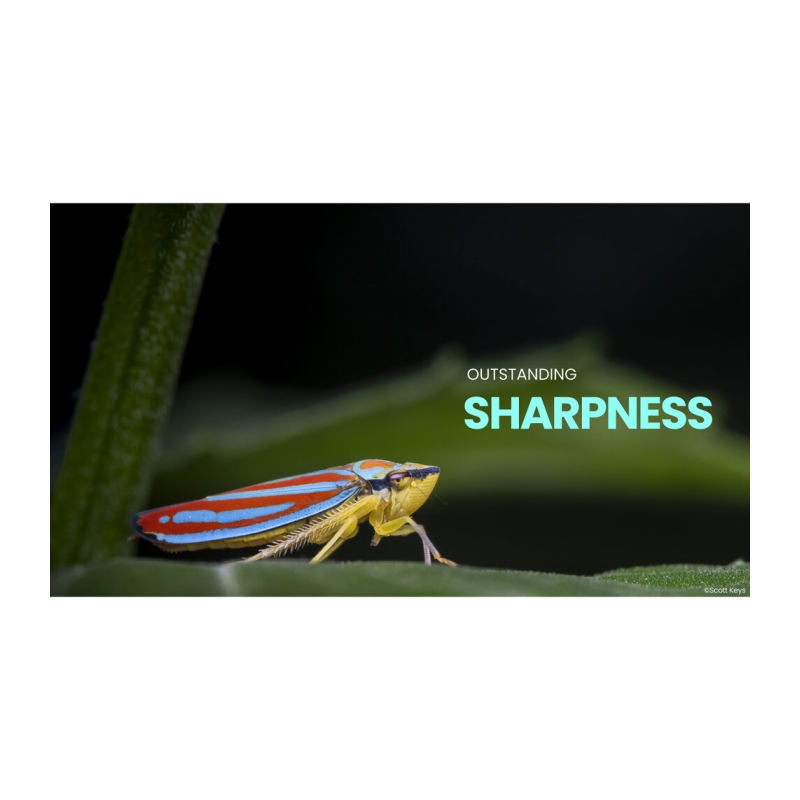 180mm f/4.5 1.5X Ultra Macro APO Lens - L-Mount