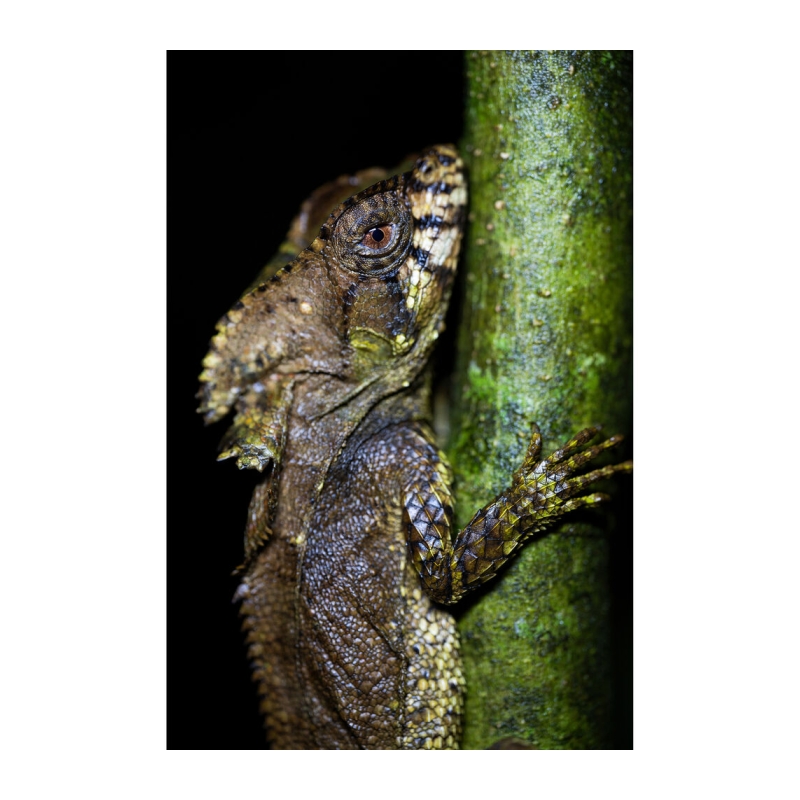 90mm f/2.8 DI III Macro VXD Nikon Z