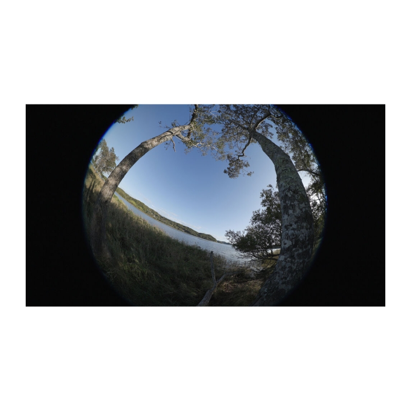 RF 7-14mm F2.8-3.5L FISHEYE STM