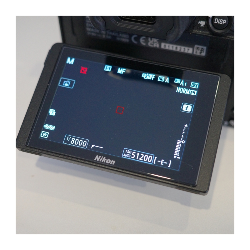 Z6II - Occasion