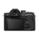 DSC-RX10 V