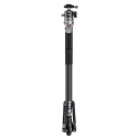 5564 Carbon Fiber Photography Monopod