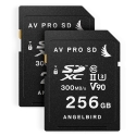 Match Pack For Panasonic EVA1 256GB | 2-pack