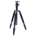 TN2 + K-20II
