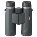 AD 8x36 WP