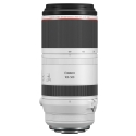 RF 100-500mm f/4.5-7.1 L IS USM