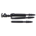 TN2 + K-20II