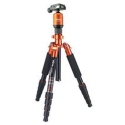Compact Traveler No I Orange B STOCK