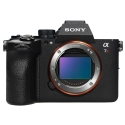 A7R VI