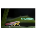 180mm f/4.5 1.5X Ultra Macro APO Auto Focus Lens - Nikon Z