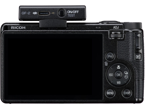 Ricoh GF-2 WW flitser | Foto Grijpink